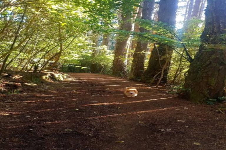 Photo of property in 25a Wade Street, Wadestown, Wellington, 6012