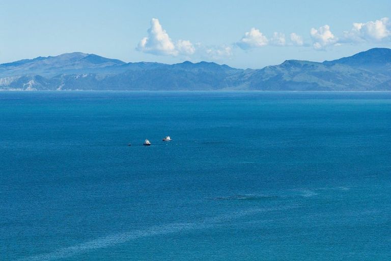 Photo of property in 40 State Highway 1, Kaikoura, 7371