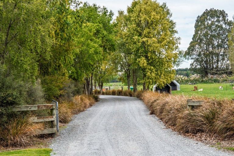 Photo of property in 111 Beeby Road, Orari, Temuka, 7986