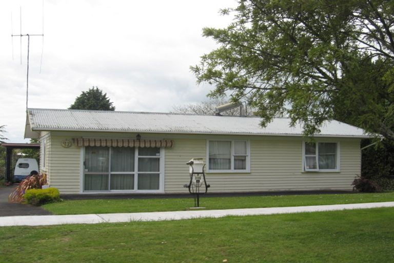 Photo of property in 93 Young Street, Te Awamutu, 3800