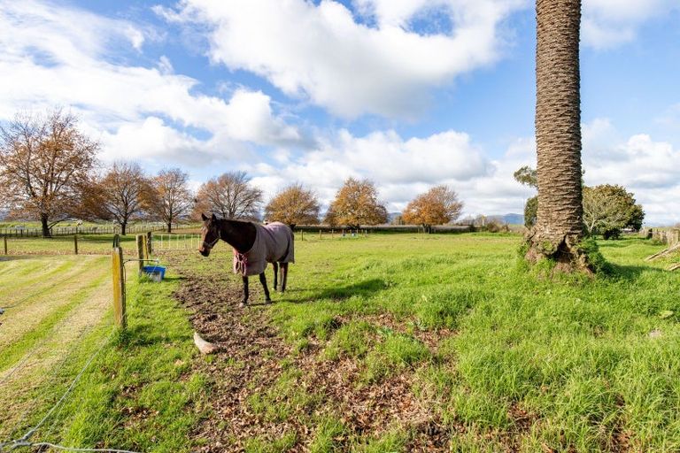 Photo of property in 7 Sarjant Road, Netherton, Paeroa, 3671
