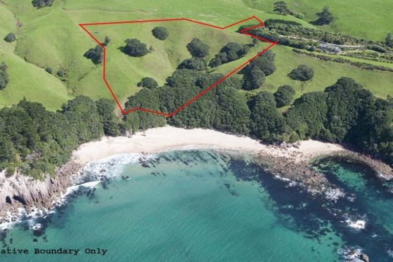 Photo of property in 341 Onemana Drive, Onemana, Whangamata, 3691