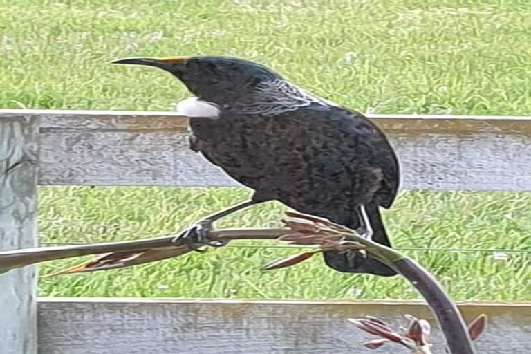 Photo of property in 103b Cameron Road, Westmere, Whanganui, 4574