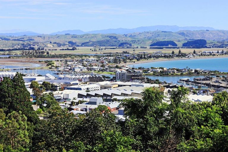 Photo of property in 10 Coleman Terrace, Hospital Hill, Napier, 4110