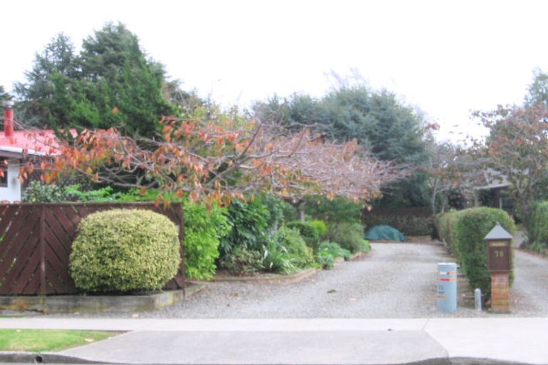 Photo of property in 79 Park Avenue, Waikanae, 5036