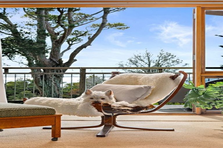 Photo of property in 9 Willjames Avenue, Algies Bay, Warkworth, 0920