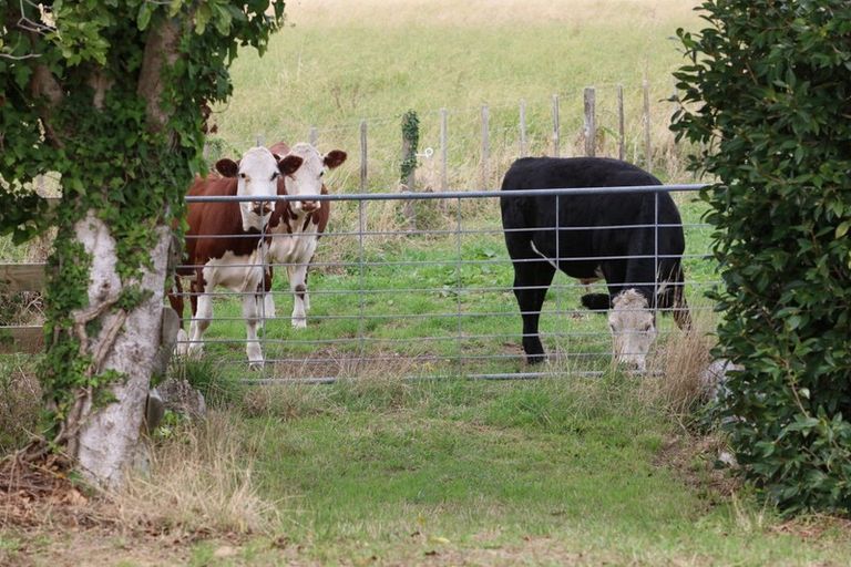 Photo of property in 380b Matahui Road, Aongatete, Katikati, 3181