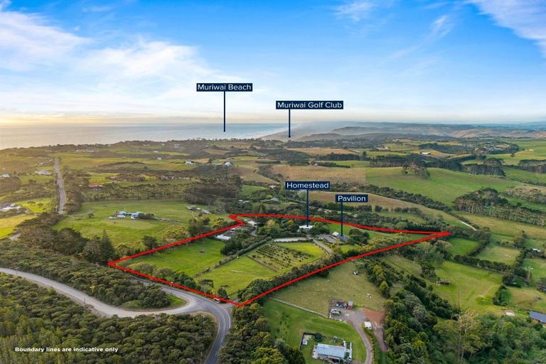 Photo of property in 376 Taiapa Road, Muriwai, Waimauku, 0881