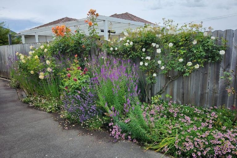 Photo of property in 3a King Street, Mosgiel, 9024