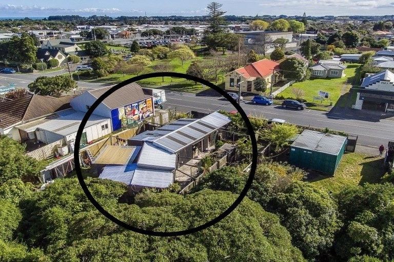 Photo of property in 14 Elizabeth Street, Waikanae, 5036