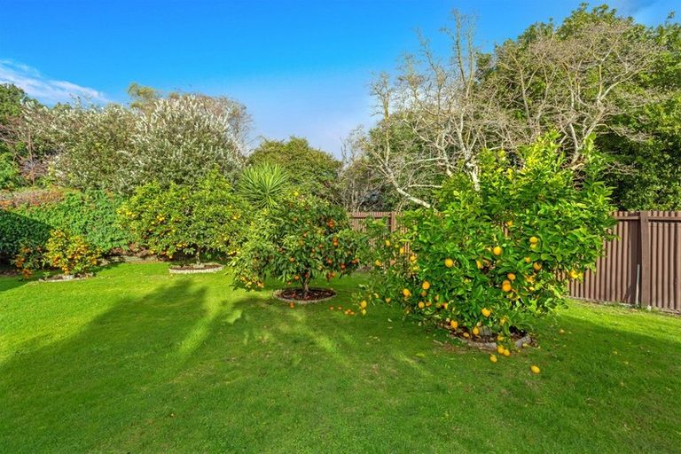 Photo of property in 762 Childers Road, Elgin, Gisborne, 4010