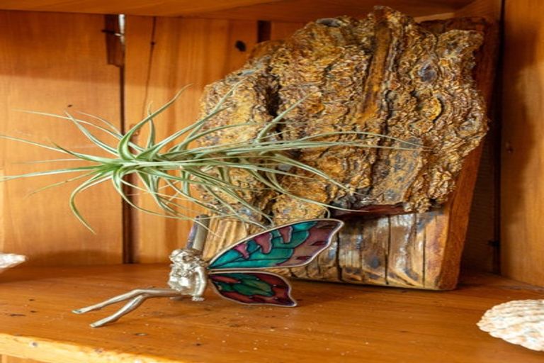 Photo of property in 43 Collins Road, Melville, Hamilton, 3206