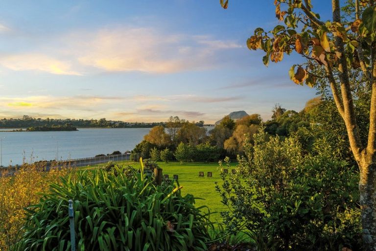 Photo of property in 195 Eleventh Avenue, Tauranga, 3110