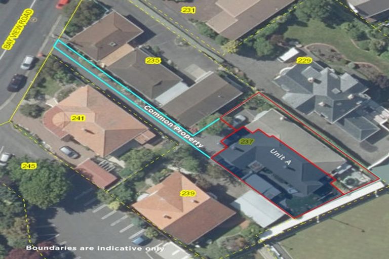 Photo of property in 237a Bay View Road, Saint Clair, Dunedin, 9012