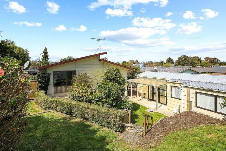 Photo of property in 46 Kowhai Street, Hamilton Lake, Hamilton, 3204