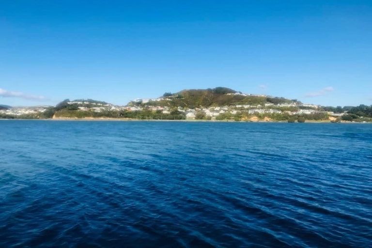 Photo of property in 76 Seaview Road, Paremata, Porirua, 5024