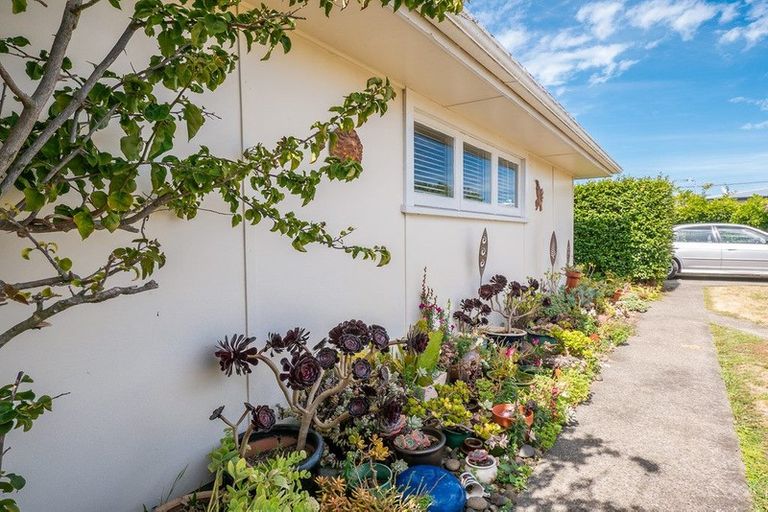 Photo of property in 31 Lindsey Crescent, Springvale, Whanganui, 4501