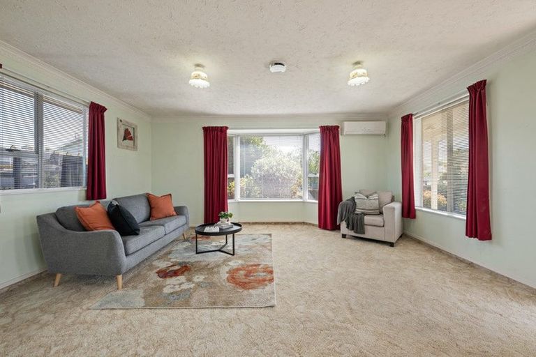 Photo of property in 62 Litchfield Street, Redwoodtown, Blenheim, 7201