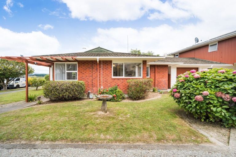Photo of property in 45 Dittmer Drive, Awapuni, Palmerston North, 4412