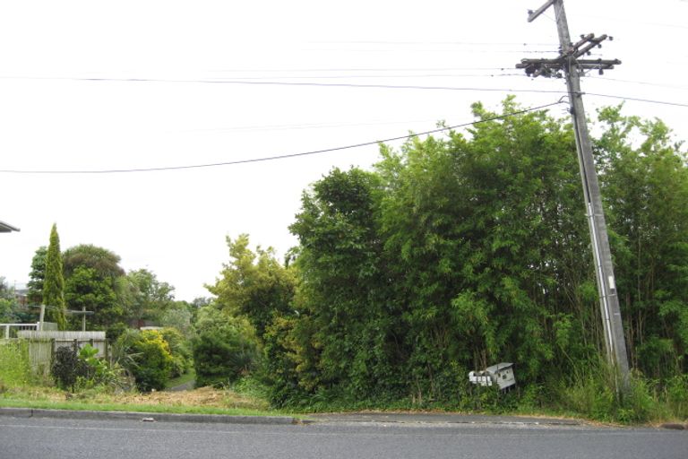 Photo of property in 49 Helvetia Road, Pukekohe, 2120