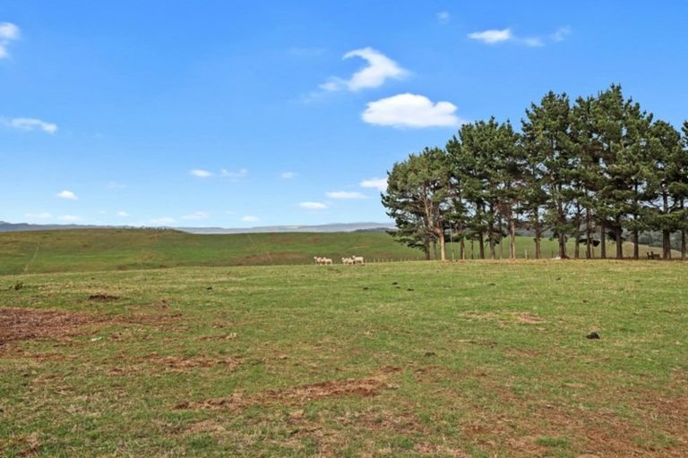 Photo of property in 415 Te Papatapu Road, Raglan, Te Mata, 3894