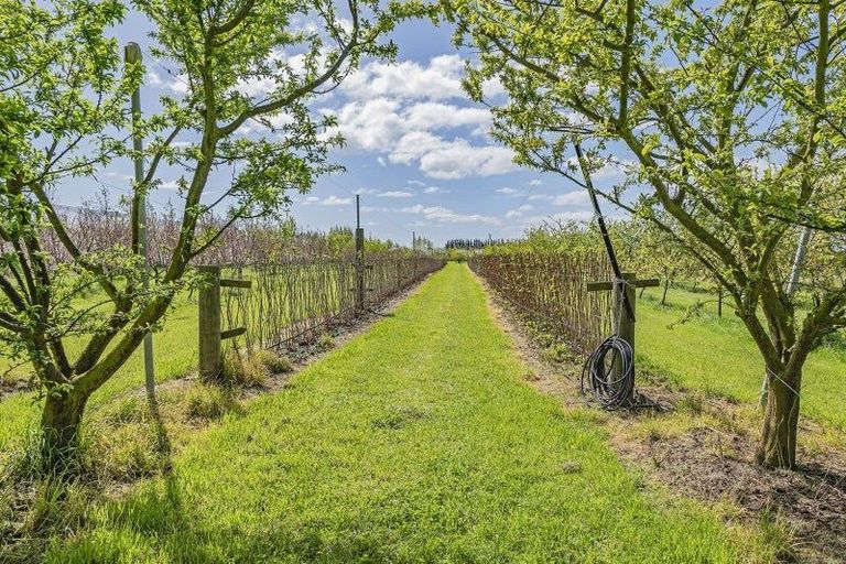 Photo of property in 1520 Tram Road, Swannanoa, Rangiora, 7475