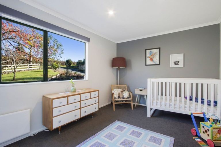 Photo of property in 178 Plummers Point Road, Whakamarama, Tauranga, 3172