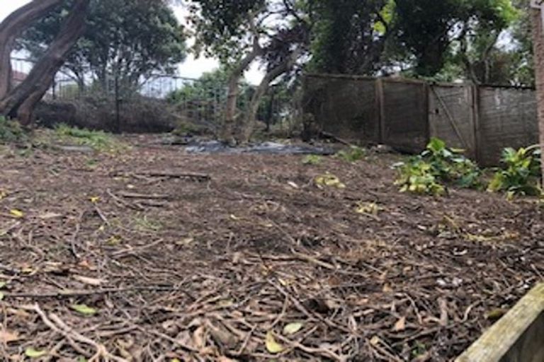 Photo of property in 43a Forrest Hill Road, Milford, Auckland, 0620