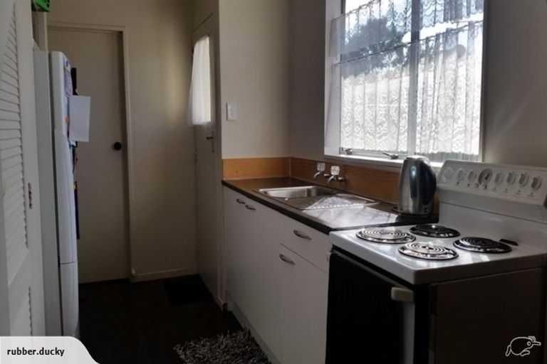 Photo of property in 195 Cambridge Street, Levin, 5510