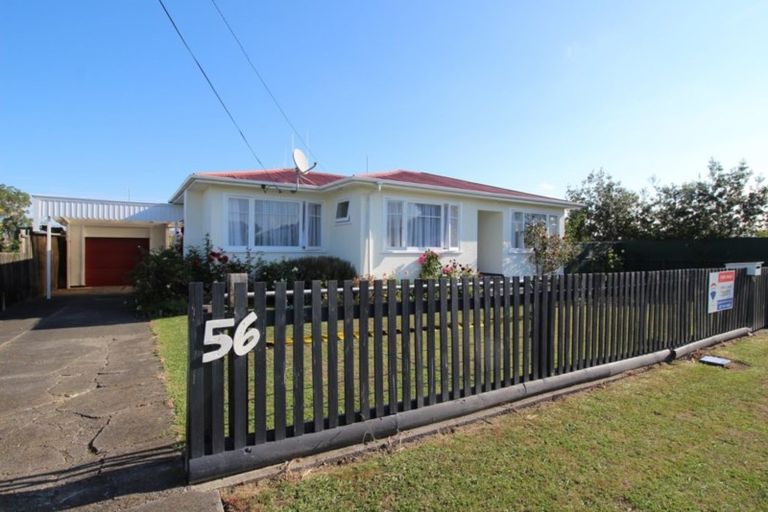 Photo of property in 56 Marumaru Street, Marton, 4710