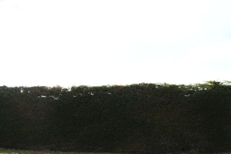 Photo of property in 1416 Coast Road, Karitane, Waikouaiti, 9471