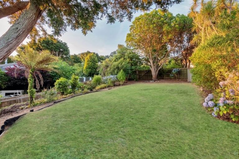 Photo of property in 29 Raymond Terrace, Northcote, Auckland, 0627