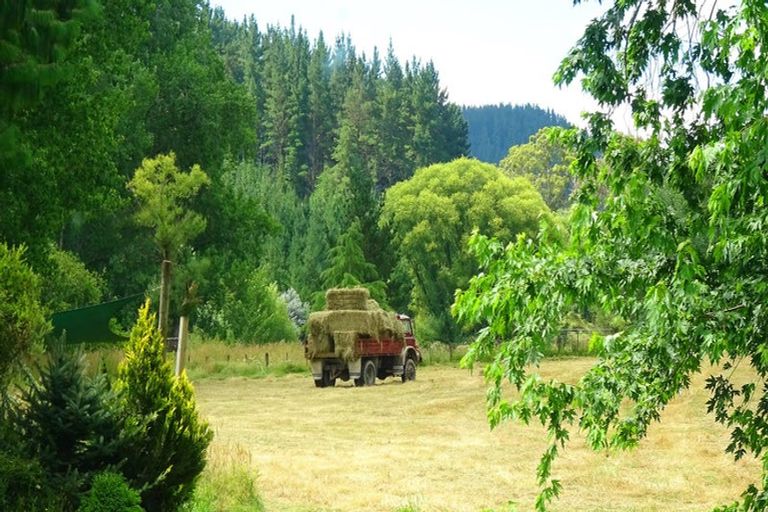 Photo of property in 46 Ruapapa Road, Frasertown, Wairoa, 4195