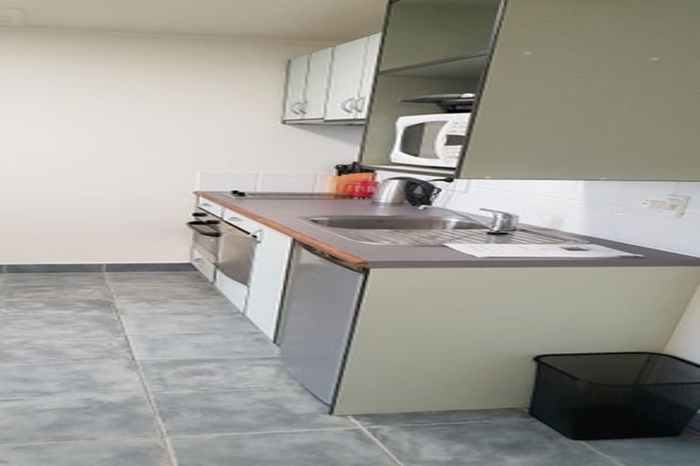 Photo of property in Edward Street Apartments, 36/3 Edward Street, Te Aro, Wellington, 6011