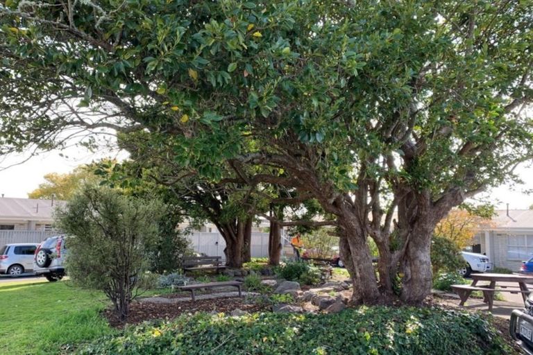 Photo of property in 2/4 Ryan Avenue, Chartwell, Hamilton, 3210