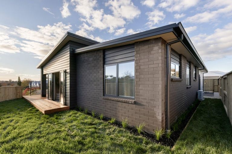 Photo of property in 11d Western Avenue, Omokoroa, 3114