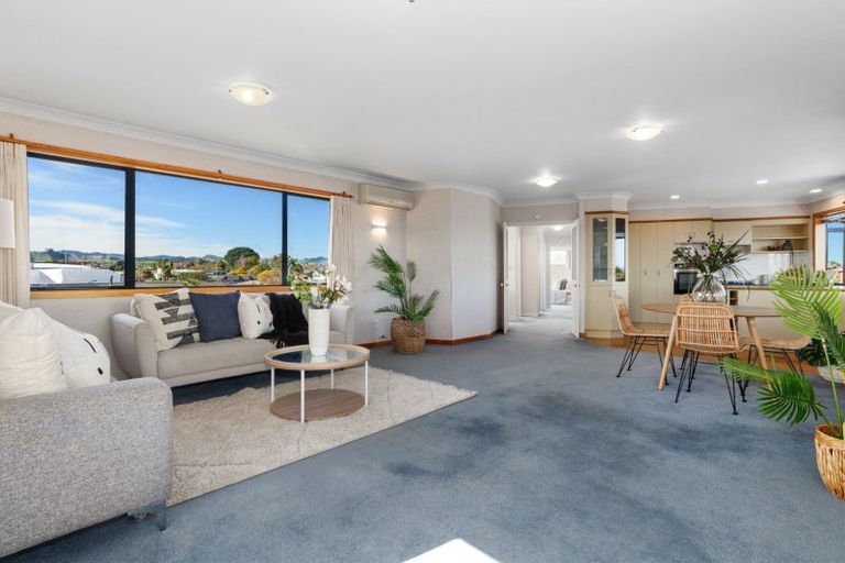 Photo of property in 19a Vine Avenue, Maungatapu, Tauranga, 3112