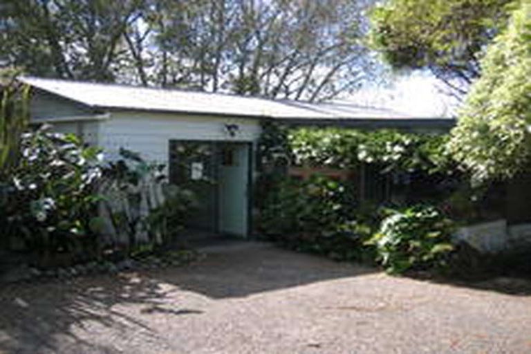 Photo of property in 173 Mccoy Road, Wainui, Opotiki, 3198