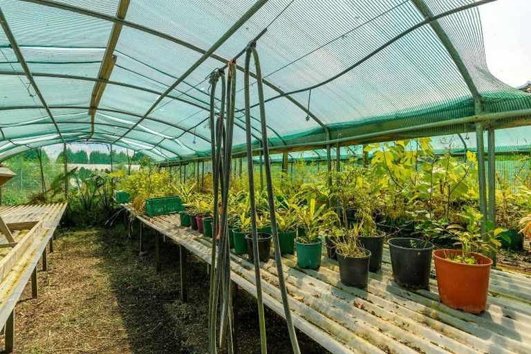 Photo of property in 911 Mclaren Falls Road, Omanawa, Tauranga, 3171