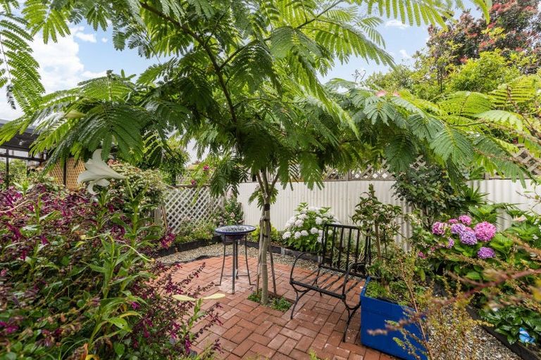 Photo of property in 1/114 Park Road South, Akina, Hastings, 4122