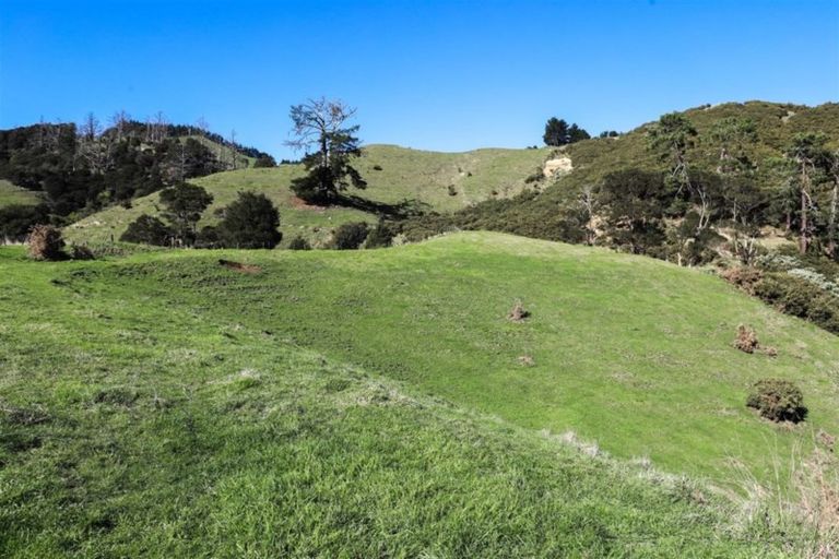 Photo of property in 181 Tregoweth Lane, Huntly, 3700