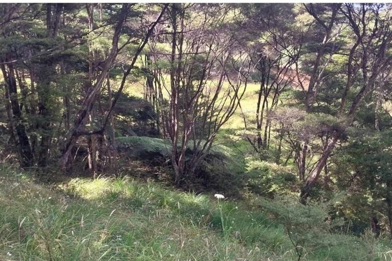 Photo of property in 1762 Kohumaru Road, Peria, Kaitaia, 0482