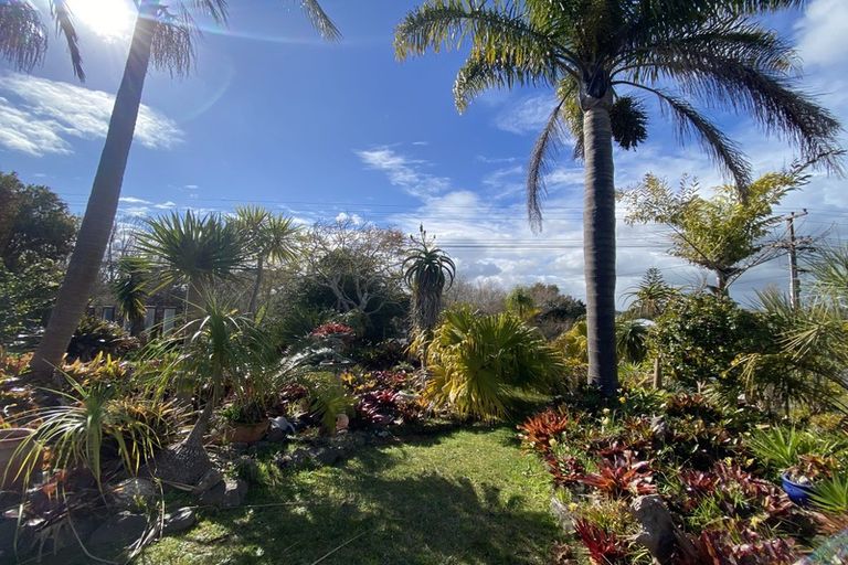 Photo of property in 164 Hokianga Road, Dargaville, 0310