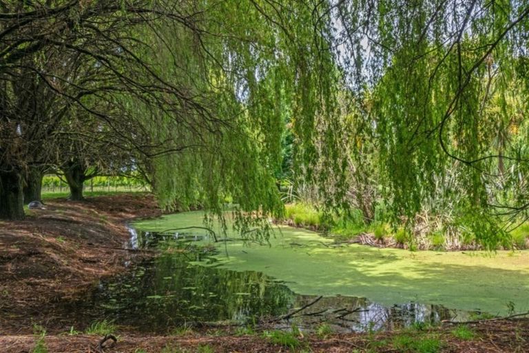 Photo of property in 162 Neal Road, Spring Creek, Blenheim, 7273