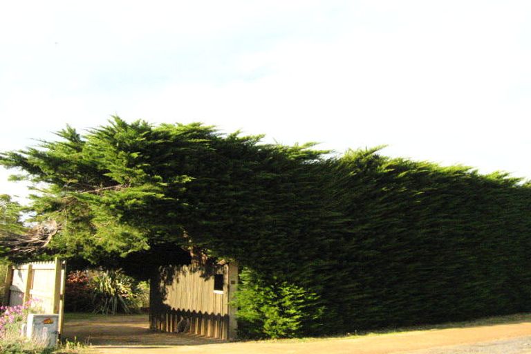 Photo of property in 1422 Coast Road, Karitane, Waikouaiti, 9471