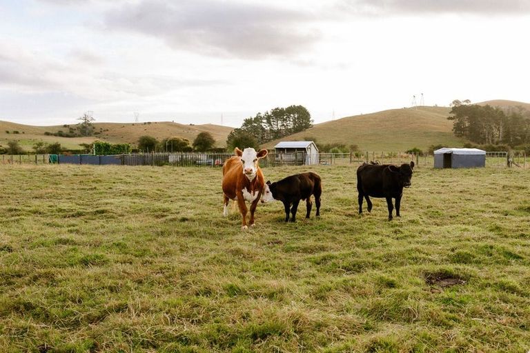Photo of property in 42 Carter Road, Waerenga, Te Kauwhata, 3781