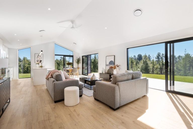 Photo of property in 133c Letts Gully Road, Letts Gully, Alexandra, 9393