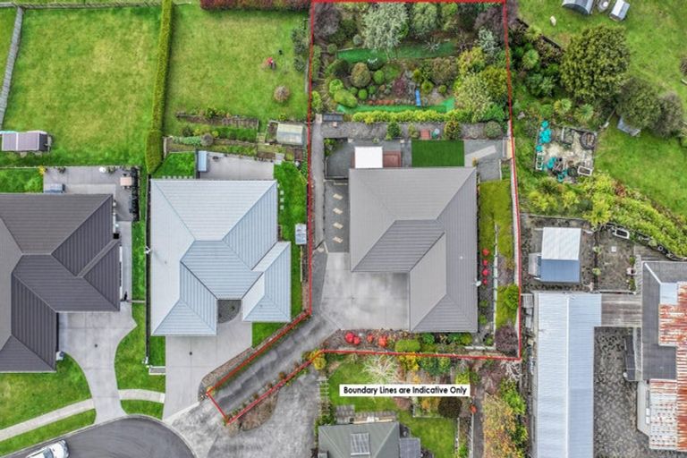 Photo of property in 38 Cambridge Street, Putaruru, 3411