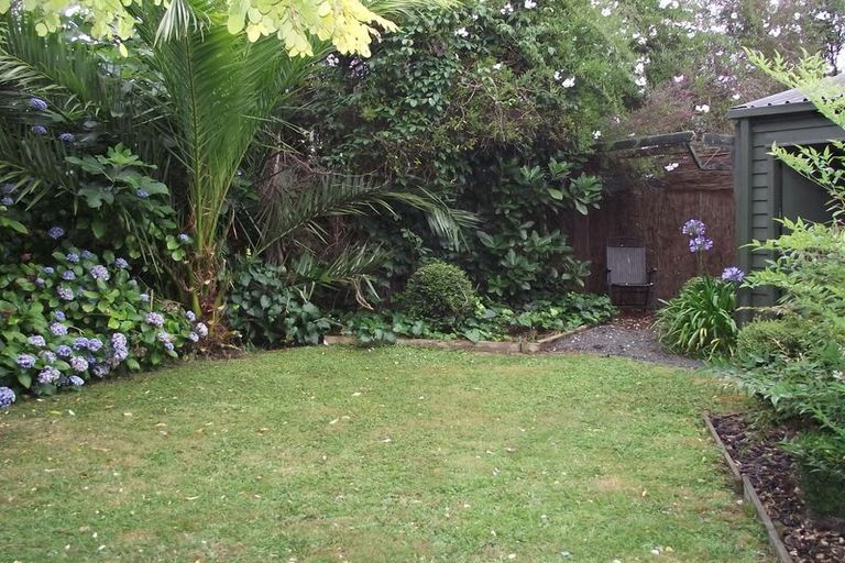 Photo of property in 50 Snell Street, Morrinsville, 3300