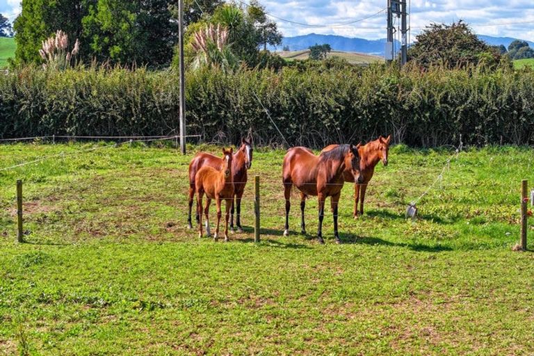 Photo of property in 37 State Highway 27, Tirau, 3410